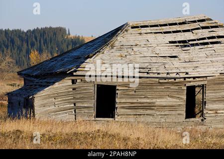 Verlassenes historisches Kaufhaus- und Postbürogebäude im Glenbow Ranch Provincial Park, Alberta, Kanada Stockfoto