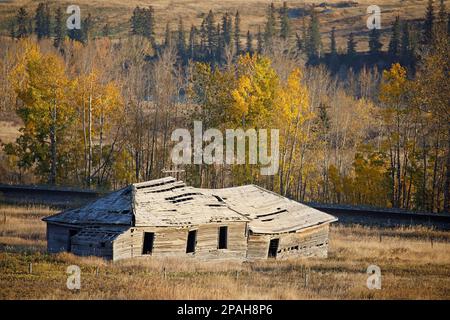 Verlassenes historisches Kaufhaus und Postbürogebäude neben einer alten Eisenbahnstrecke im Glenbow Ranch Provincial Park, Alberta, Kanada Stockfoto