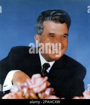 Der rumänische Politiker und Diktator NICOLAE CEAUSESCU ( 26. Januar 1918 bis 25. Dezember 1989 ) war von 1965 bis Dezember 1989, als ihn eine Revolution und ein Putsch aus der Macht brachten, der Führer Rumäniens. Die revolutionäre führten einen zweistündigen Prozess durch und verurteilten ihn zum Tode wegen Verbrechen gegen den Staat, Völkermord und " Untergrabung der Volkswirtschaft". Der voreilige Prozess wurde als Känguru-Gericht kritisiert, dessen anschließende Hinrichtung den letzten Akt der Revolutionen von 1989 markiert - RUMÄNIEN - POLITIKER - POLITIK - SOZIALIST - SOZIALISMUS - SOZIALISMUS - COMUNISTA - COMUNISMO - KOMMUNIST Stockfoto