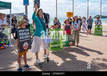 Joeline Hackman unabhängige Kandidatin für Manly (Sydney) bei den Wahlen zum Staat New South Wales am 25. März 2023, die auf einem Protesttreffen in Manly Beach sprach, um die Koalas in New South Wales zu retten. Die Veranstaltung wurde von Mitgliedern der Bob Brown Foundation organisiert. Die Redner des Treffens sprachen sich für ein Ende des Holzeinschlags in den einheimischen Wäldern und die Schaffung eines Koala-Nationalparks an der Nordküste aus. Kredit: Stephen Dwyer / Alamy Live News Stockfoto