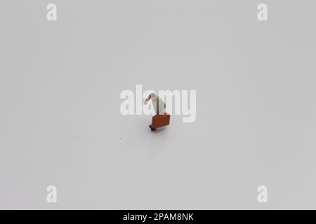 Nahaufnahme einer Miniaturfigur eines Büroangestellten, der einen Koffer auf weißem Hintergrund trägt. Miniaturfigur Fotokonzept. Stockfoto