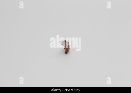 Nahaufnahme einer Miniaturfigur eines Büroangestellten, der einen Koffer auf weißem Hintergrund trägt. Miniaturfigur Fotokonzept. Stockfoto