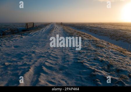 Ein atemberaubender Sonnenaufgang an einem wunderschönen Wintermorgen, inmitten einer schneebedeckten Landschaft, in der Nähe der friesischen Stadt Wanswert. Stockfoto
