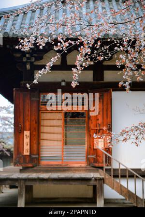 Nara, Japan – 11. April 2019. Kirschblüten im Todaiji-Tempel in Nara, Japan. Stockfoto