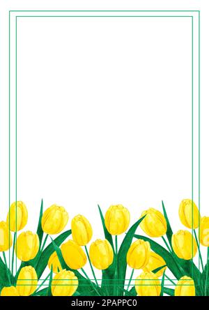 Handgezeichnete, Aquarell gelbe Tulpen Blumenstrauß. Isoliert auf weißem Hintergrund. Sammelalbum, Postkarte, Banner, Plakat, Plakat Stockfoto