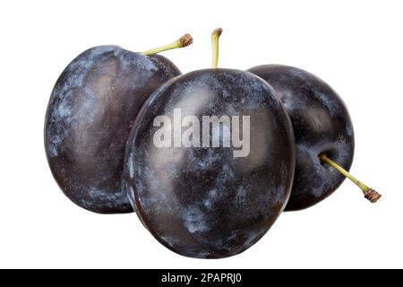 Frische Pflaume, isoliert auf weißem Hintergrund. Design-Element des Pakets. Datei enthält Beschneidungspfad. Stockfoto