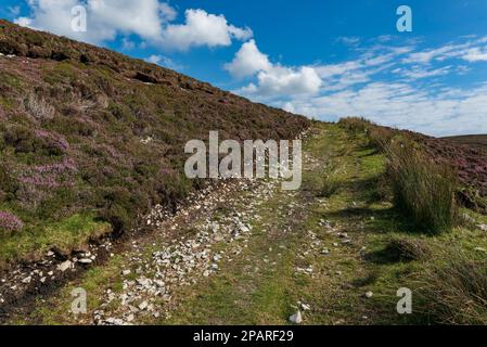 Tower Loop Wanderweg führt durch Moorlandschaft, in der Nähe von Glencolumbkille, County Donegal, Irland Stockfoto