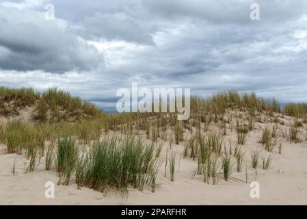 Grasbedeckte Sanddünen unter einem dramatischen Himmel am Maghera Beach, County Donegal, Irland Stockfoto