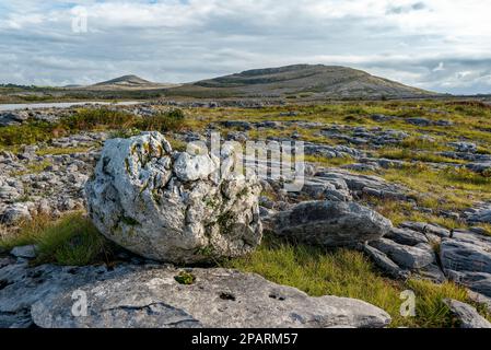 Typische Kalksteinfelsen im Burren-Nationalpark, Mullaghmore und Slieve Rua im Hintergrund, Irland Stockfoto