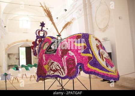 Gurtzeug aus echten Blumen für die Fahrt des heiligen joseph in der heiligen Kreuzkirche in Scicli, Sizilien, Italien Stockfoto