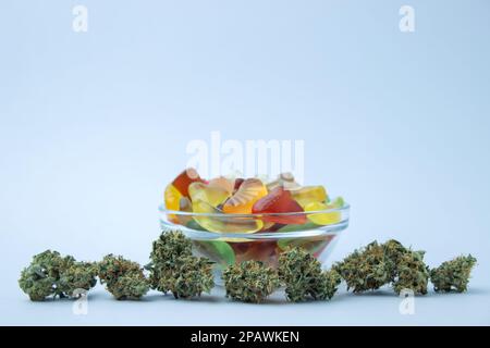 Getrocknete Cannabisknospen liegen in einer Linie im Vordergrund, hinter einer kleinen Glasschüssel mit Gummibonbons. Auf hellblauem Hintergrund, viel leerer Raum Stockfoto