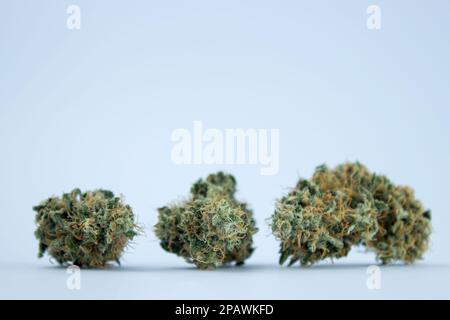 Drei getrocknete medizinische Marihuana-Knospen auf blassblauem Hintergrund. Viel Platz. Nahaufnahme Stockfoto