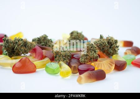 Getrocknete medizinische Marihuana-Knospen liegen zwischen Gummien verschiedener Formen und Geschmacksrichtungen. Auf einem kaltweißen Hintergrund Stockfoto