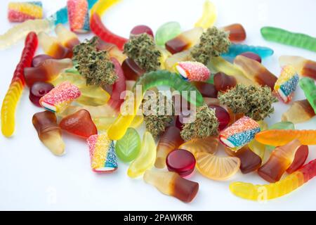 Getrocknete medizinische Marihuana-Knospen liegen zwischen Gummien verschiedener Formen und Geschmacksrichtungen. Auf einem kaltweißen Hintergrund Stockfoto