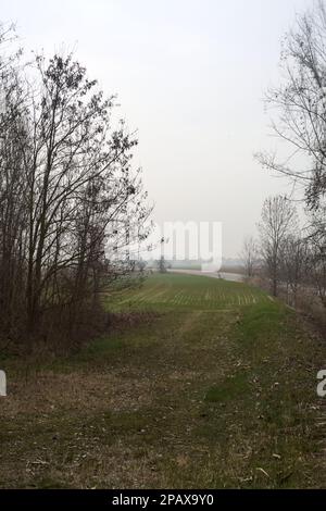 Straße auf dem Land zwischen Feldern an einem bewölkten Tag, von weitem gesehen Stockfoto