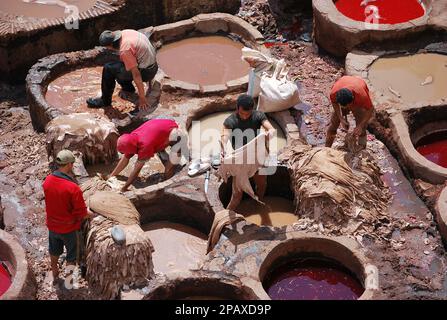 Arbeiter in Chouara Tannery, Fes - Marokko Stockfoto