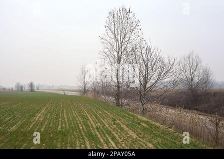 Straße auf dem Land zwischen Feldern an einem bewölkten Tag, von weitem gesehen Stockfoto