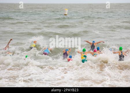 Beginn des Schwimmwettbewerbs beim National Schools Triathlon in Hervey Bay, Torquay, Queensland, Australien Stockfoto