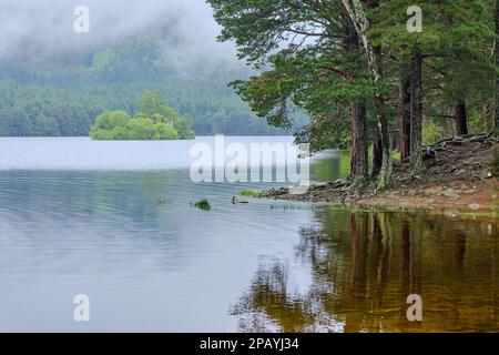 Loch ein Eilein Stockfoto