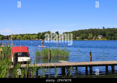 Blick auf den Krakauer See (Krakauer See) mit dem Aussichtsturm im Hintergrund, Mecklenburg-Vorpommern - Deutschland Stockfoto