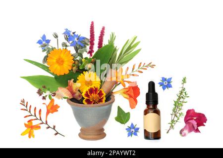 Heilblumen und Kräuter, die in natürlichen alternativen Kräuterblumenmitteln in einem Mörtel mit ätherischer Ölflasche verwendet werden. Blumige alternative Gesundheitsvorsorge. Stockfoto