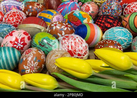 Eine Luftaufnahme von dicht gestapelten bunten Ostereiern und gelben Tulpen, die eine unverwechselbare Komposition für Osterwelten bilden. Stockfoto