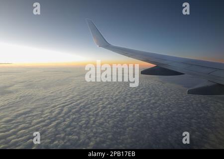 Kommerzielle Fluggesellschaften fliegen sehr früh am Morgen über den Wolken. Stockfoto