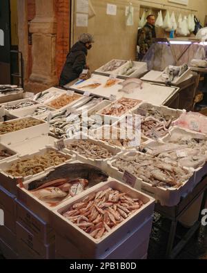 Bologna, Italien - 17. November 2022: Frischer Fisch auf einem Markt in der Nähe der Piazza Maggiore Stockfoto