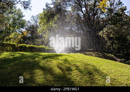 Wasseraustritt aus einer Sprinklerbewässerungsanlage auf grünem Gras in einem öffentlichen Park, üppig grüne Bäume mit verschwommenem Hintergrund, heißer sonniger Tag, automatische Wässerung Stockfoto