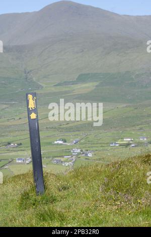 Markierungsschild für Pilgrim's Way oder Pilgrim's Way mit Berg hinter EIRE Stockfoto