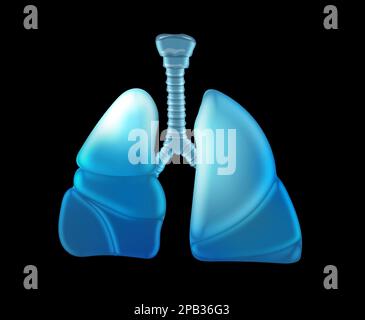 Darstellung menschlicher Lungen auf schwarzem Hintergrund Stockfoto