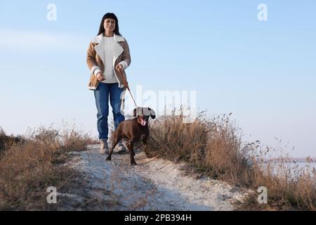 Eine Frau mit ihrem deutschen Schmarotzer-Pointer-Hund, die draußen herumläuft Stockfoto