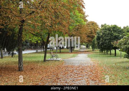 Blick auf den strömenden Regen auf der Straße der Stadt Stockfoto