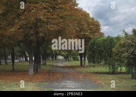 Blick auf den strömenden Regen auf der Straße der Stadt Stockfoto