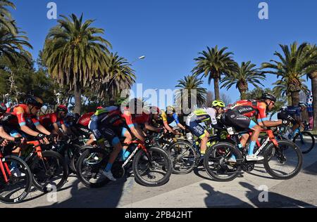 Das Reiterpaket, das in der Etappe 7, der letzten Etappe des Radrennens Tirreno-Adriatico, 154 km von und nach San Benedetto del Tronto, in Italien, am Sonntag, den 12. März 2023, in Aktion gezeigt wurde. BELGA FOTO DIRK WAEM Stockfoto