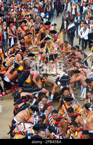 Steinziehzeremonie während des Kisima Nagaland Hornbill Festivals, Kohima, Nagaland, Indien, Asien Stockfoto