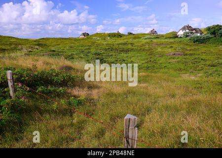 Typisch friesische Häuser, strohgedeckte Häuser in den Dünen von Hörnum, Sylt, Nordfriesische Inseln, Nordfriesien, Schleswig-Holstein, Deutschland, Europa Stockfoto