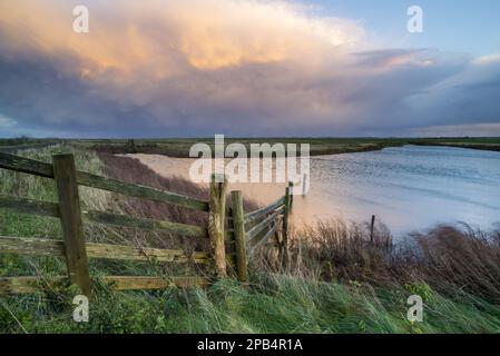 Blick auf den Rinderzaun und den mit Wasser gefüllten Graben in einem Küstenstraße, mit schwindenden Sturmwolken bei Sonnenuntergang, Elmley Marshes N. R. North Kent Stockfoto