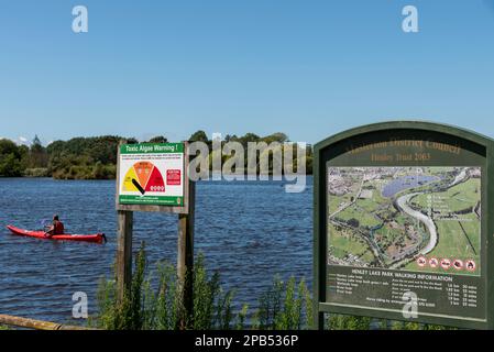 Henley Lake Park in Masterton, Neuseeland, an einem hellen Sommertag. Warnschild für giftige Algen auf niedrig eingestellt. Warnhinweis mit Informationen zu Symptomen Stockfoto