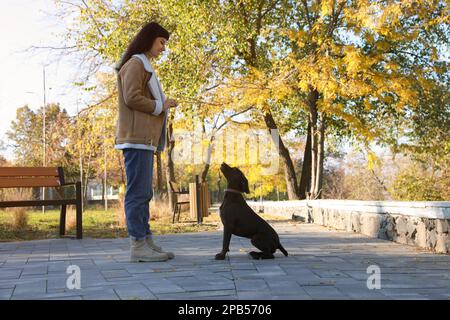 Eine Frau mit ihrem deutschen Hündchen im Park Stockfoto