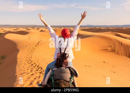 Wüstensafari im Thar Desert Jaisalmer, Rajasthan, Indien. Stockfoto