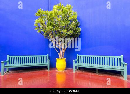 Bank mit Pflanzentöpfen an den Seiten im farbenfrohen Hintergrund.Majorelle Gärten in Marrakesch (Marokko) Stockfoto