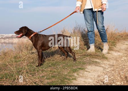 Eine Frau mit ihrem deutschen Schmarotzer-Hund, die draußen vor der Tür spaziert, Nahaufnahme Stockfoto