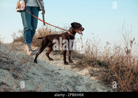 Eine Frau mit ihrem deutschen Schmarotzer-Hund, die draußen vor der Tür spaziert, Nahaufnahme Stockfoto