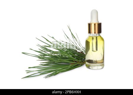 Glasflasche mit ätherischem Öl und Kiefernzweig auf weißem Hintergrund Stockfoto