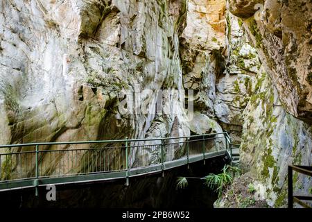 Orrido di Bellano, eine natürliche Schlucht, die durch die Erosion des Flusses Pioverna entstanden ist und in gigantische Schlaglöcher, dunkle Schluchten und hinweisende Höhlen geformt ist. Bellano, Stockfoto