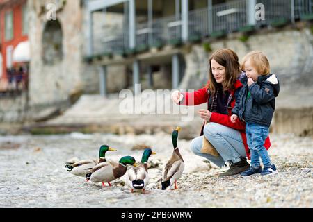 Mutter und ihr kleiner Sohn füttern Enten in Varenna, einer der malerischsten Städte am Ufer des Comer Sees. Charmante Lage mit typischem Flair Stockfoto