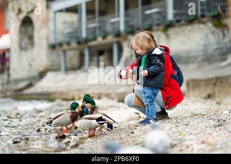 Mutter und ihr kleiner Sohn füttern Enten in Varenna, einer der malerischsten Städte am Ufer des Comer Sees. Charmante Lage mit typischem Flair Stockfoto