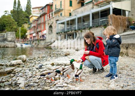 Mutter und ihr kleiner Sohn füttern Enten in Varenna, einer der malerischsten Städte am Ufer des Comer Sees. Charmante Lage mit typischem Flair Stockfoto