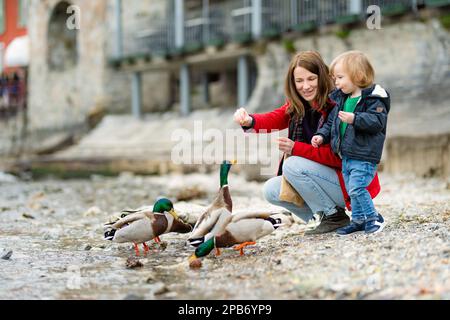 Mutter und ihr kleiner Sohn füttern Enten in Varenna, einer der malerischsten Städte am Ufer des Comer Sees. Charmante Lage mit typischem Flair Stockfoto